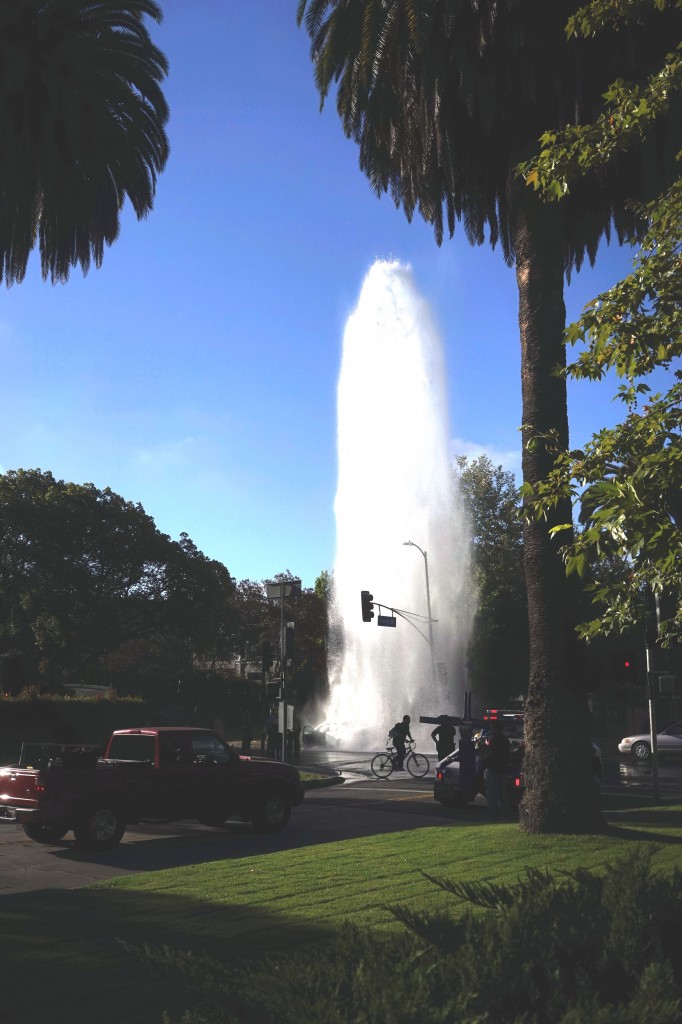 WaterWindsorSquare