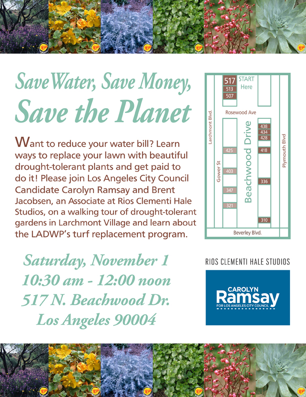 Drought Tolerant Larchmont Landscape walk 2014